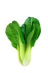 Bok Choy
