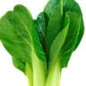 Bok Choy