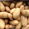 Potato: New