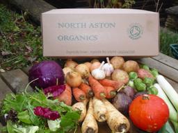 Image of S.Christmas Veg Box