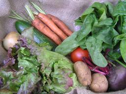 Image of d.Half Veg Box