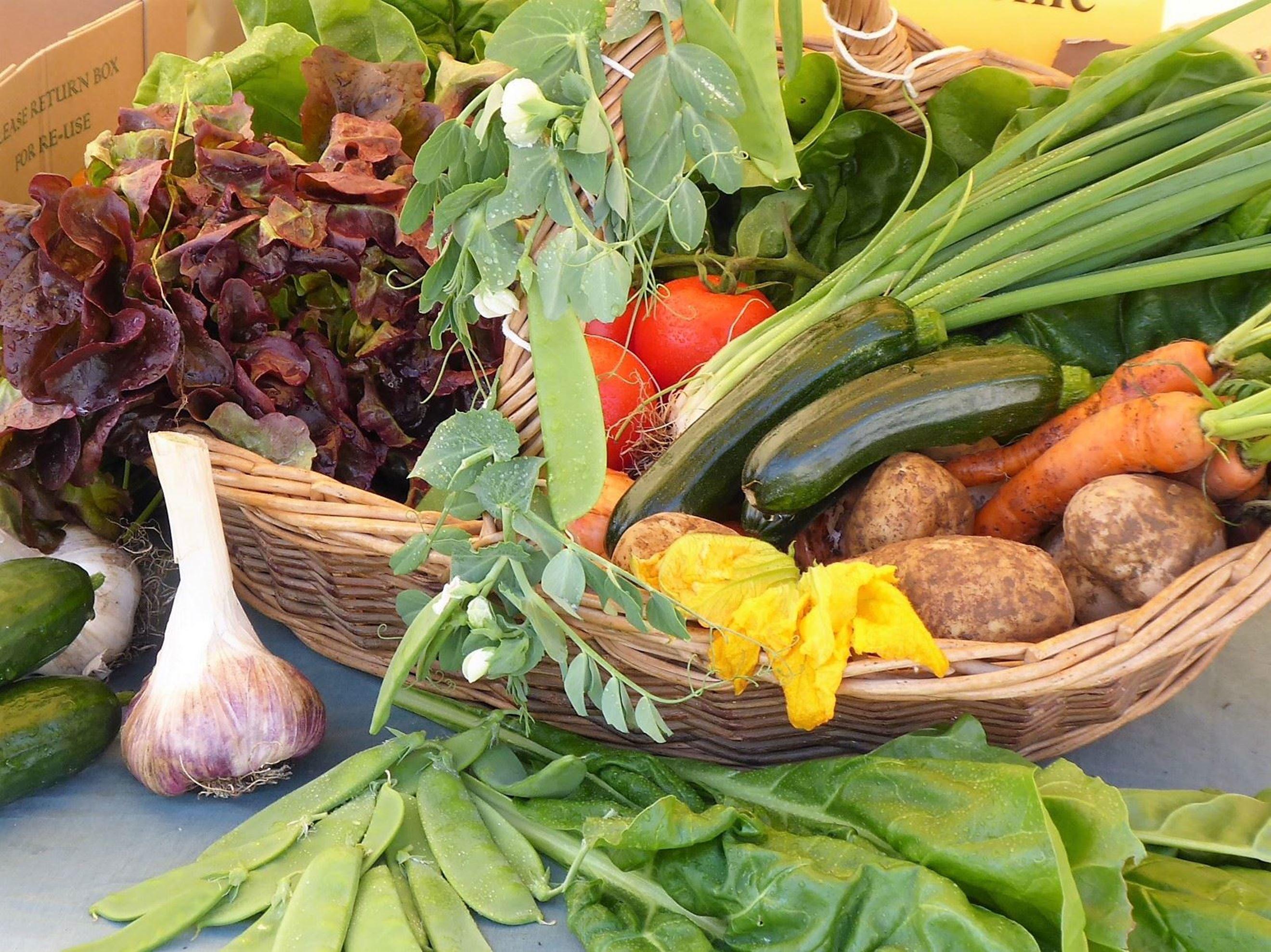 Organic Veg Boxes