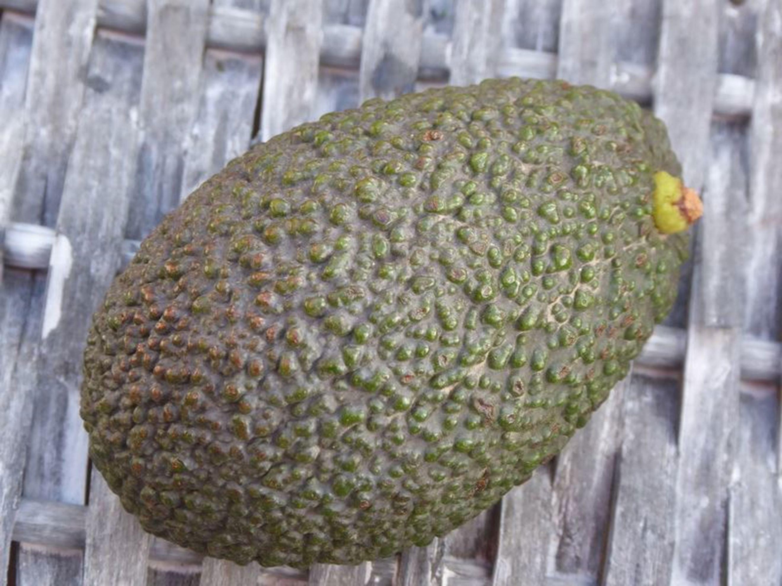 Image of the product